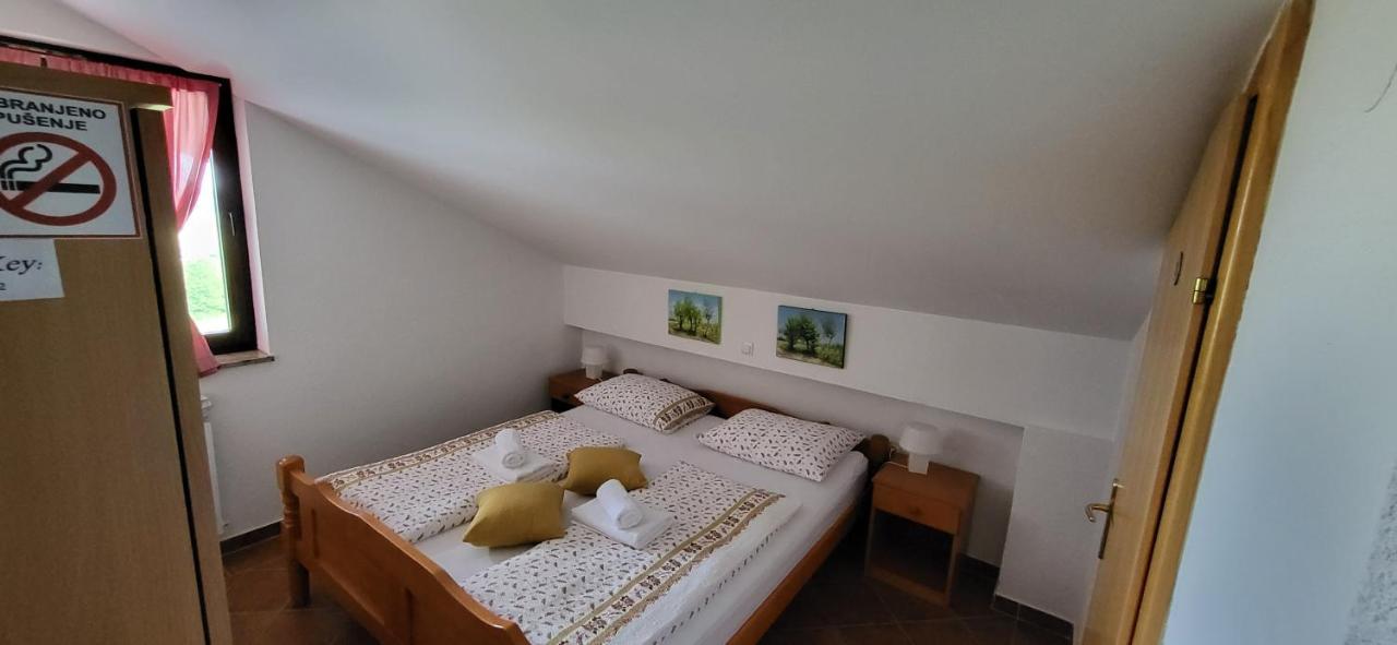 Vila Lisina Seliste Dreznicko Bagian luar foto