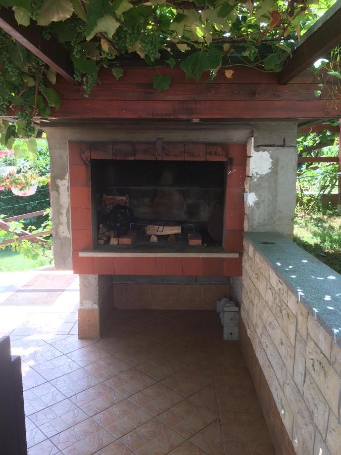 Vila Lisina Seliste Dreznicko Bagian luar foto