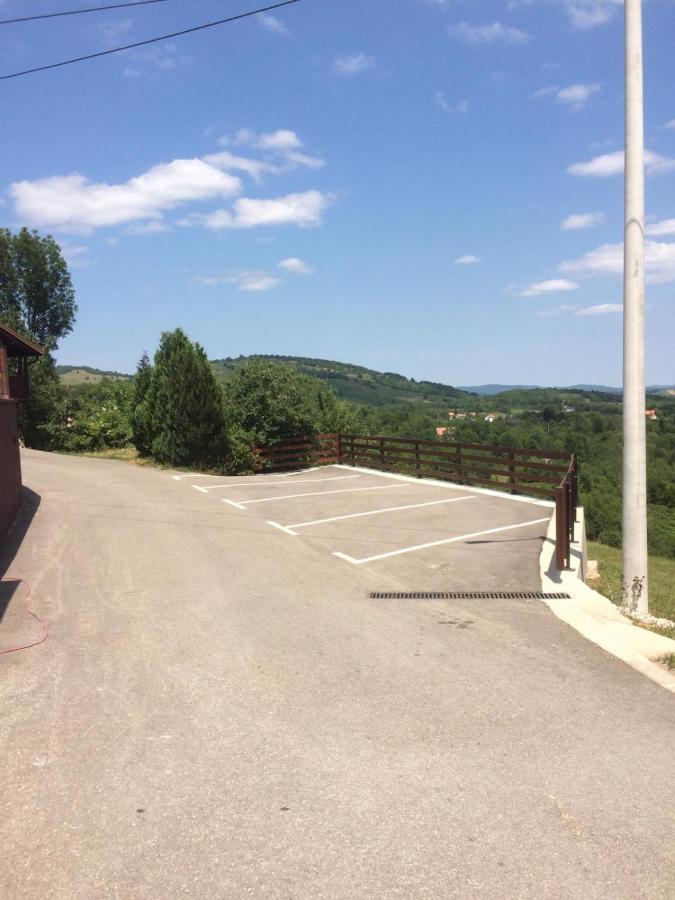 Vila Lisina Seliste Dreznicko Bagian luar foto