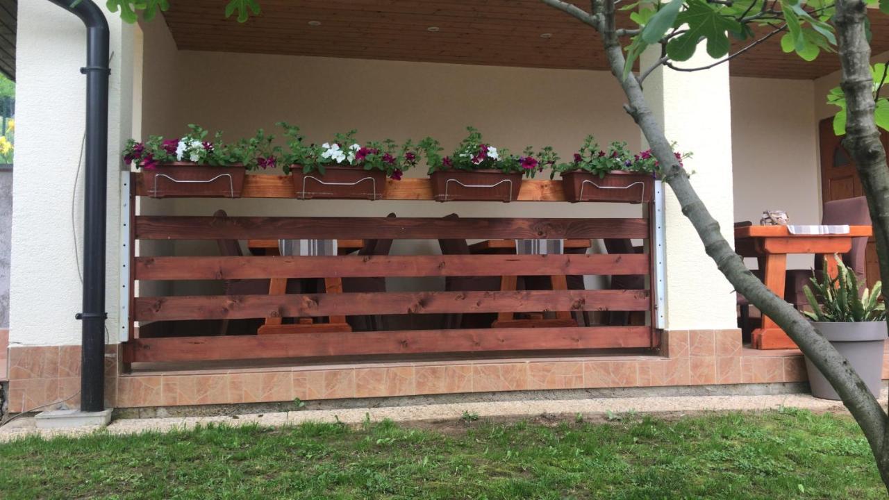 Vila Lisina Seliste Dreznicko Bagian luar foto